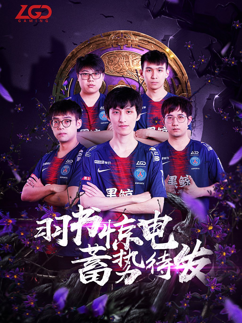 进化与不断 进化与不断